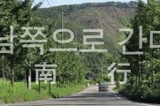 韩国 南行在线观看,穿越韩国南部的美丽旅程