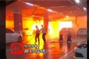 金凤万达爆料视频大全集,揭秘幕后真相与精彩瞬间