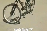 安阳自行车爆料视频播放,揭秘城市交通新现象