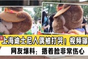 网友爆料狗熊视频大全,狗熊视频大全，揭秘动物界的趣味瞬间