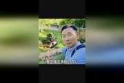 福宝爷爷的爆料视频下载,一窥娱乐圈幕后真相