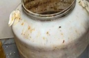爆料正新鸡排视频大全集,揭秘美食背后的故事与魅力