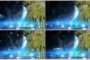 月光爆料最新视频下载安装,揭秘下载安装全攻略