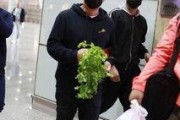 黄渤机场爆料视频播放